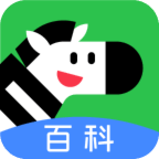 斑马百科手机版