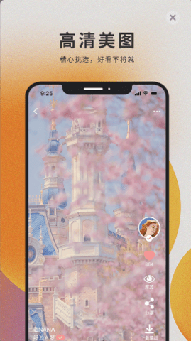 萌猫桌面壁纸app官方版截图3