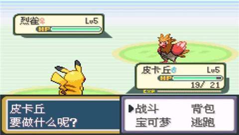 口袋妖怪圣灰版截图1