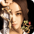 特工皇妃楚乔传果盘客户端