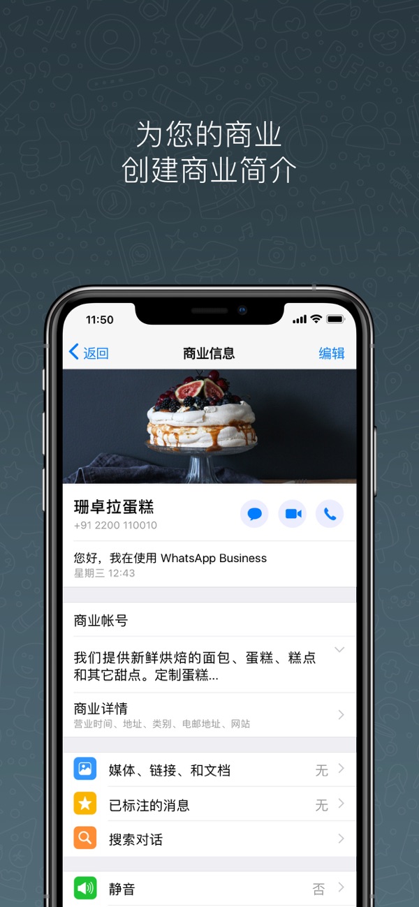 whatsapp最新版下载电脑