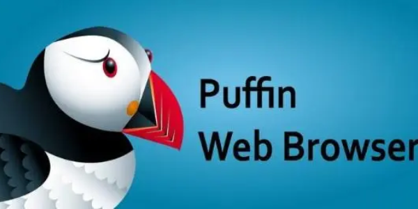 puffin浏览器