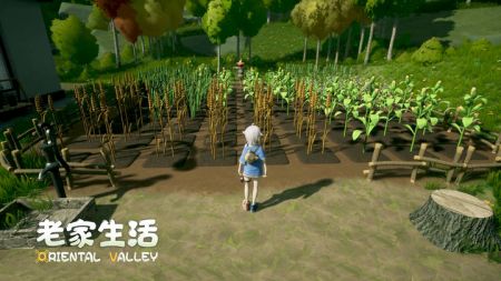 老家生活0