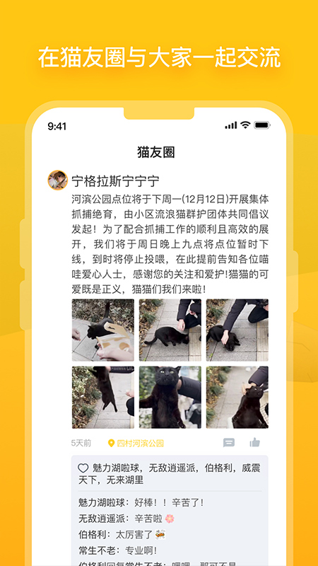 哈啰街猫2
