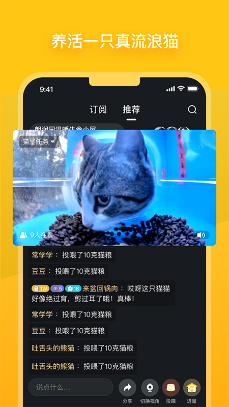 哈啰街猫3