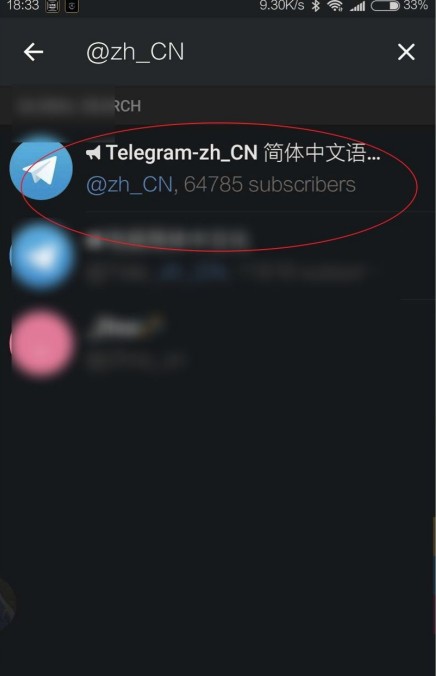 telegeram中文版官网版下载安卓版-纸飞机中文版官网最新版2026下载v12.9.0 - 骑士助手