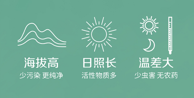 植物医生