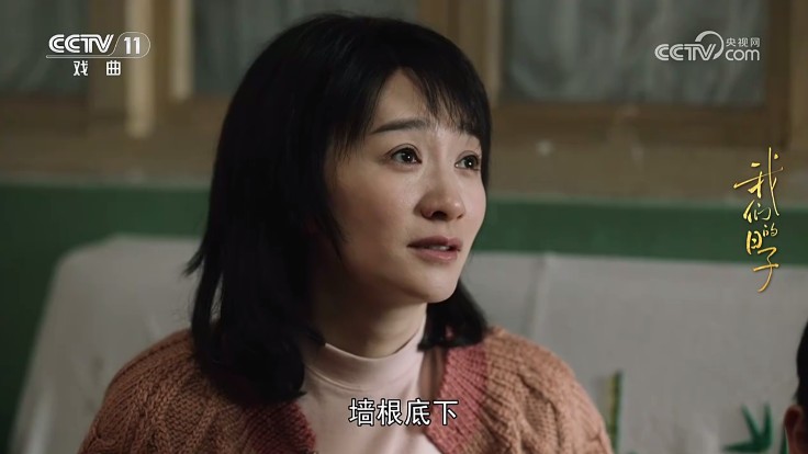 WebView电视最新版