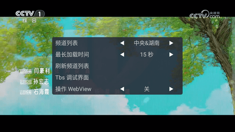 WebView电视2