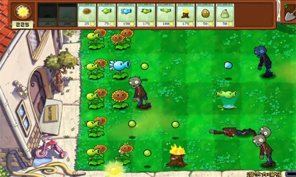 植物大战僵尸拼接版0