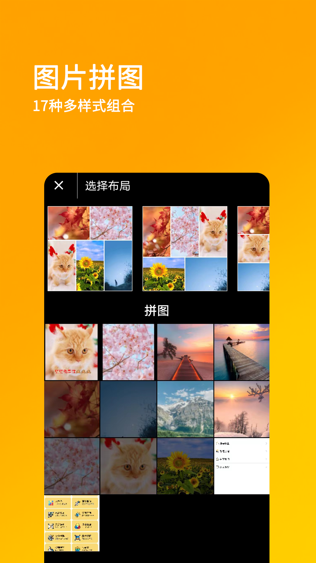刷圈兔3