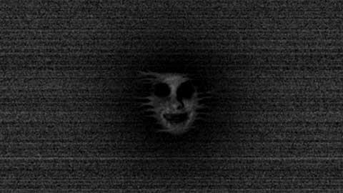 恐怖森林2