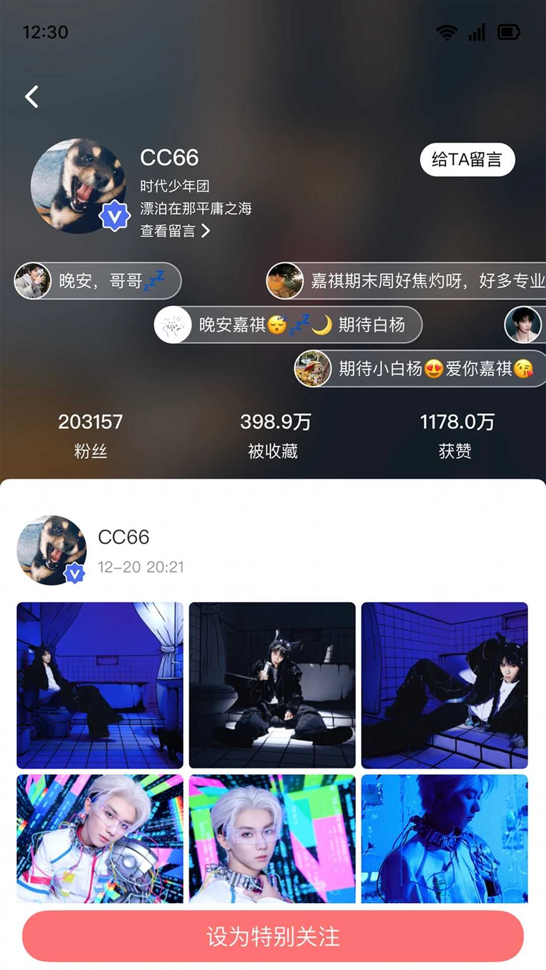 TF家族