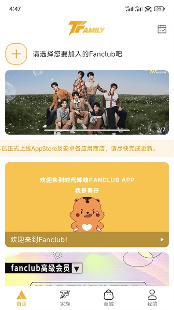TF家族