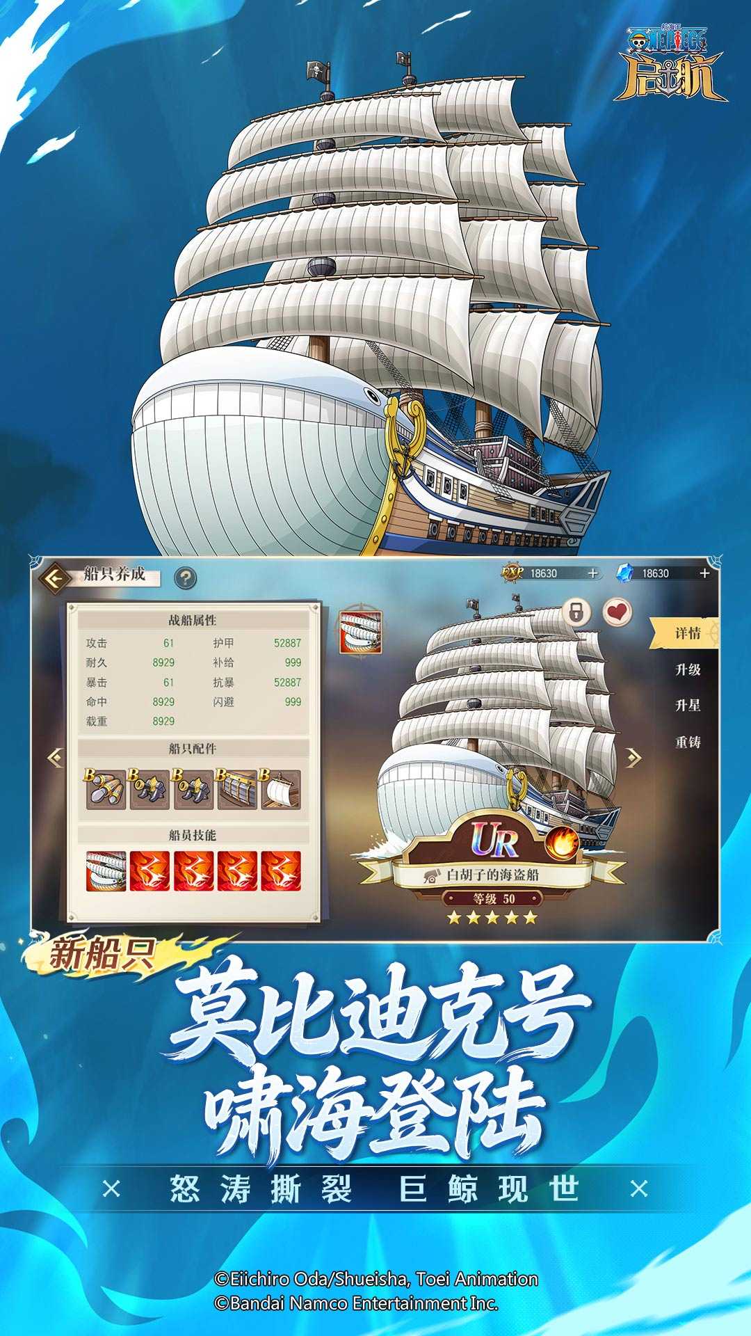 航海王启航0.1折