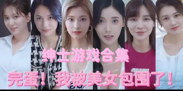 绅士游戏