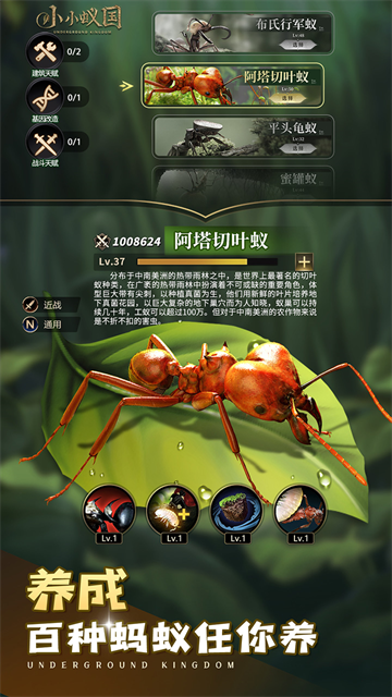 小小蚁国官方版截图3
