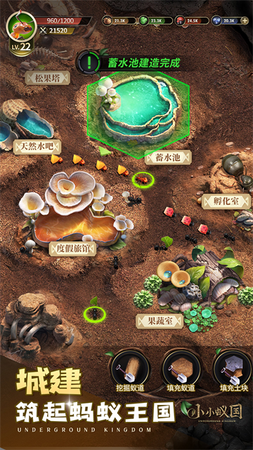 小小蚁国官方版截图4