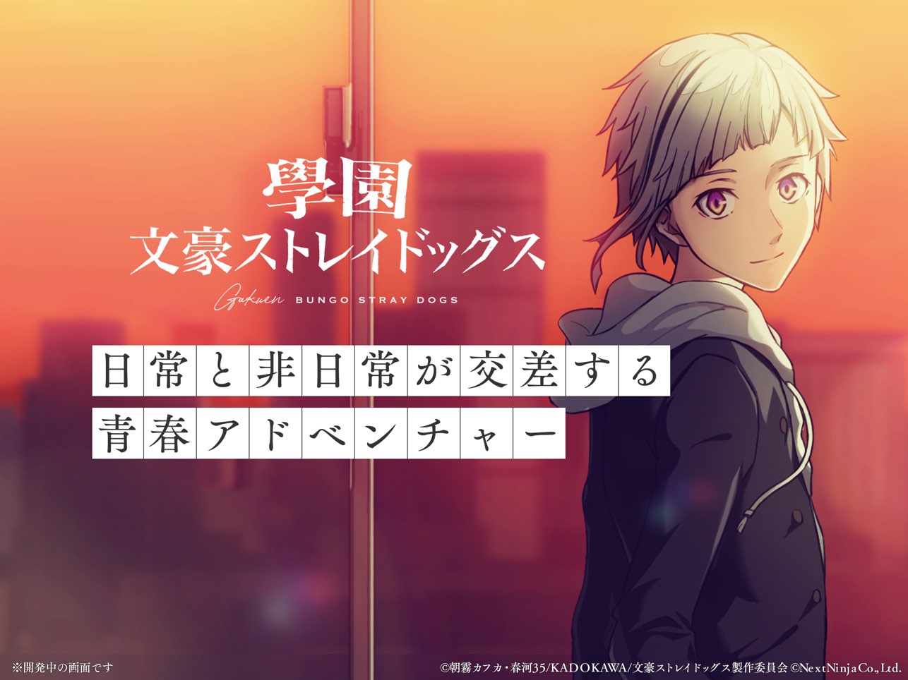 学园文豪straydogs0