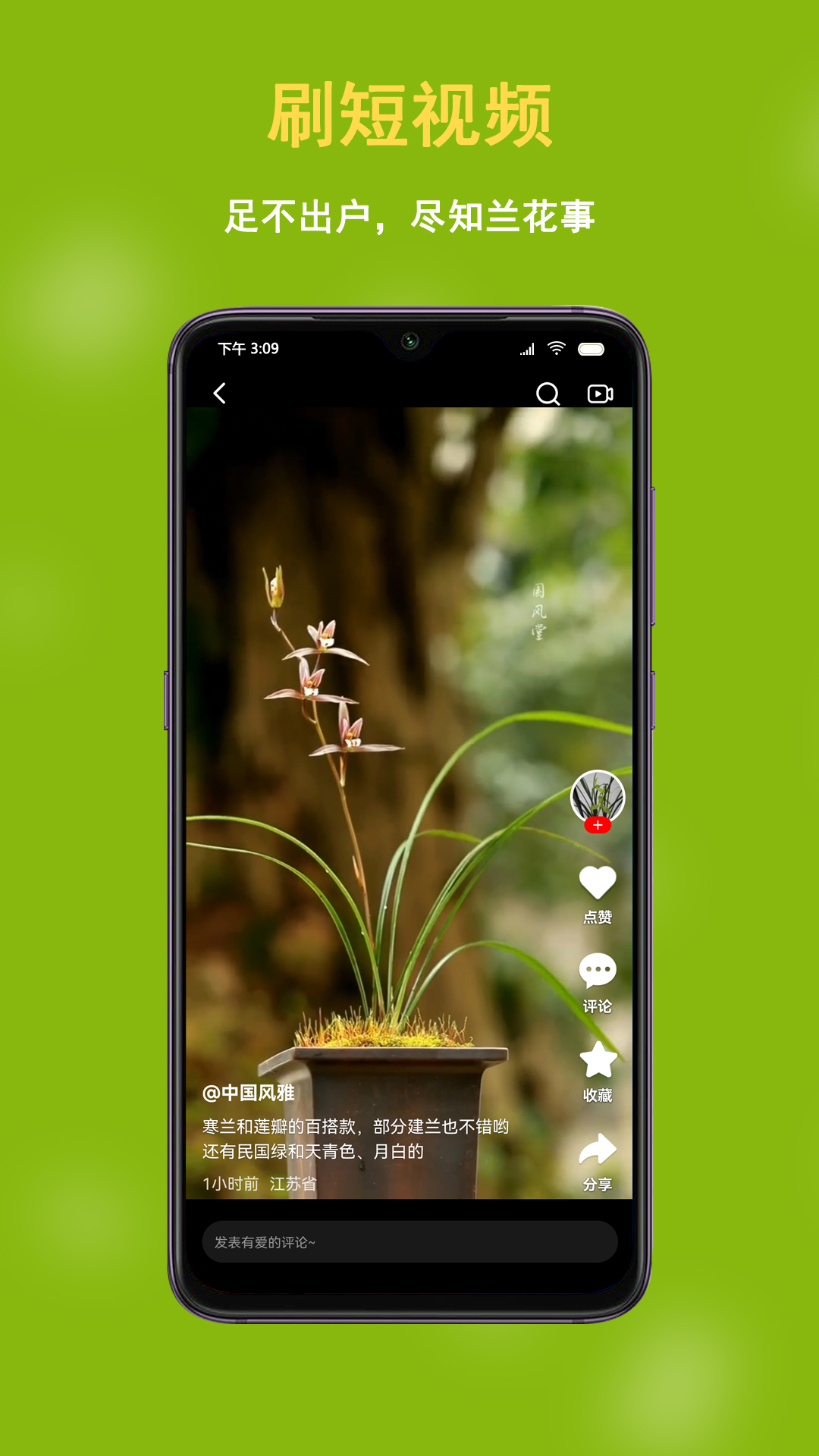 中国兰花交易网截图4