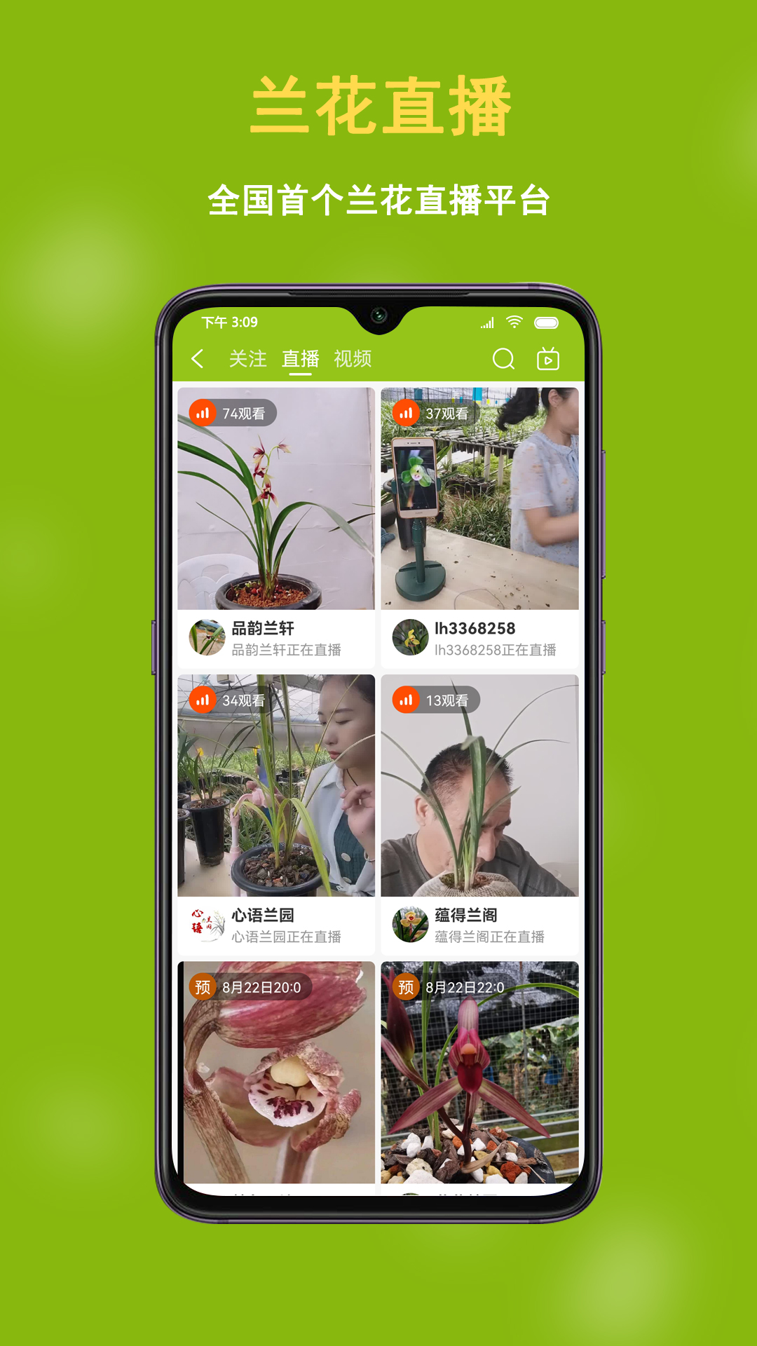 中国兰花交易网截图3