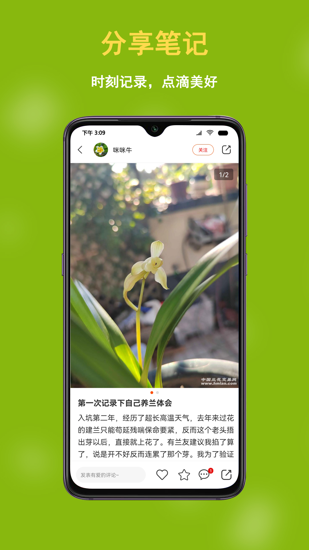 中国兰花交易网截图5