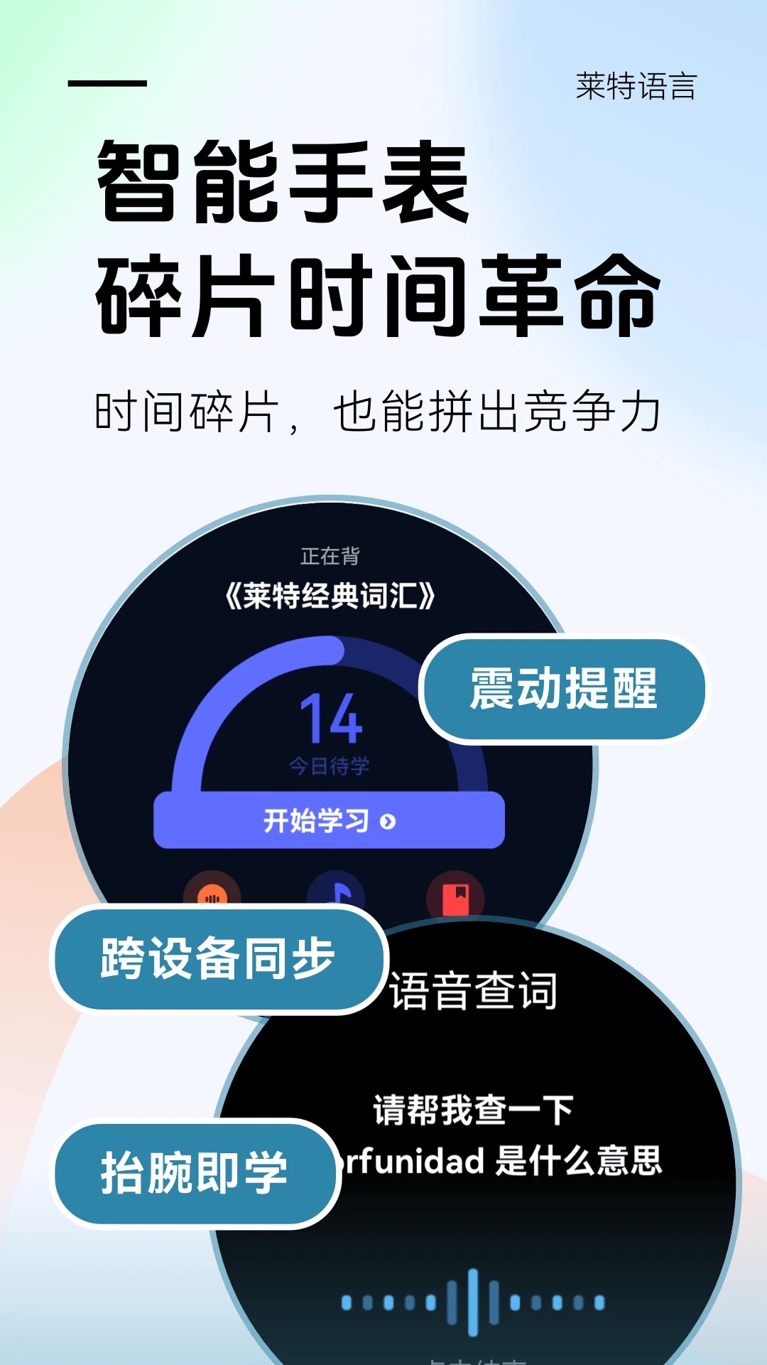 莱特西班牙语背单词截图5
