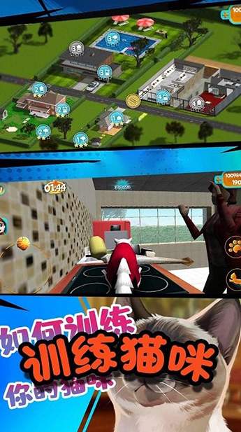 极速流浪猫游戏截图1