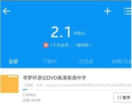 cilimao磁力猫