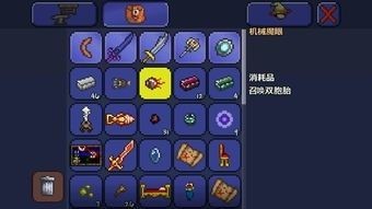 泰拉瑞亚1.4.4.9一只皮皮蛙汉化版