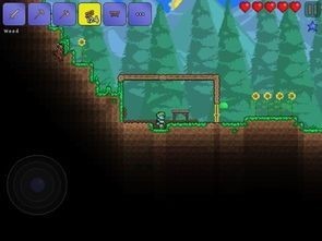 泰拉瑞亚1.4.4.9一只皮皮蛙汉化版