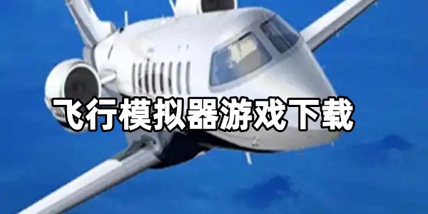 飞行模拟器