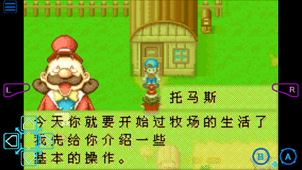 牧场物语男孩版截图2