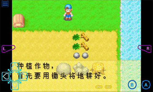 牧场物语男孩版