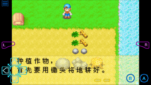 牧场物语男孩版