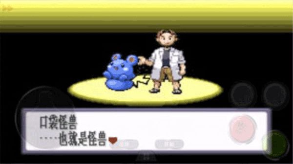 口袋妖怪红宝石截图1