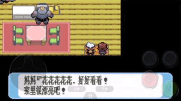 口袋妖怪红宝石截图3