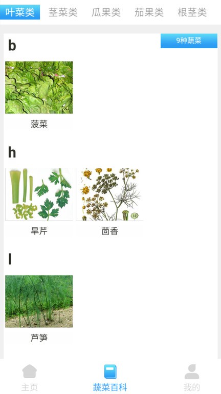 口袋菜农
