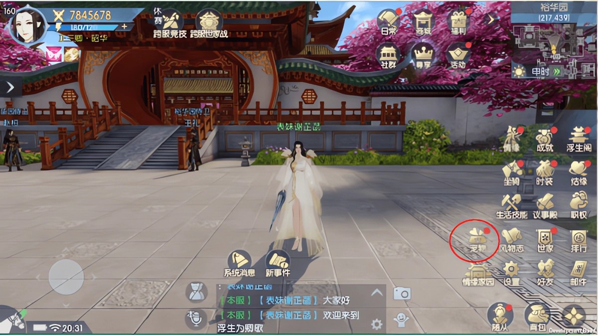 浮生为卿歌官方正版
