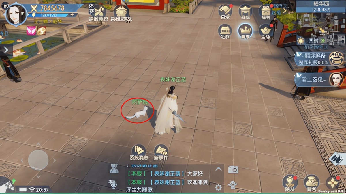 浮生为卿歌官方正版