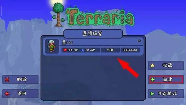 泰拉瑞亚全物品存档版