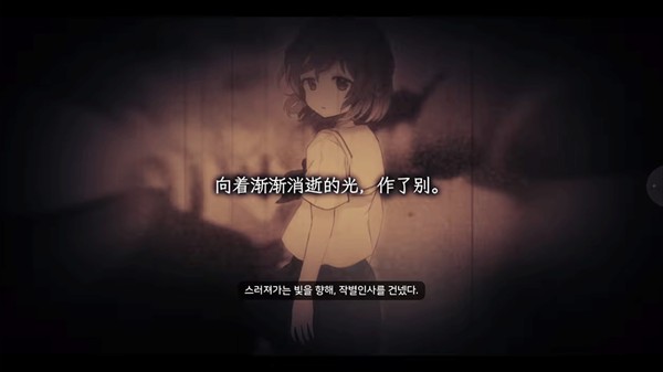 夏末盛开的花手机版