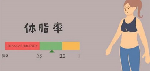 测量体重体脂的软件推荐