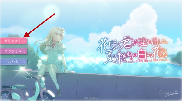 花开之你携我至夏之尽头的白花