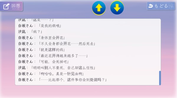 花开之你携我至夏之尽头的白花