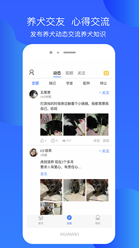犬卫士最新版