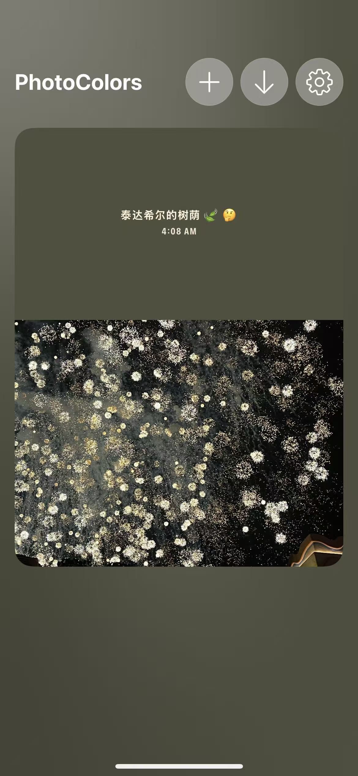 photocolors安卓版