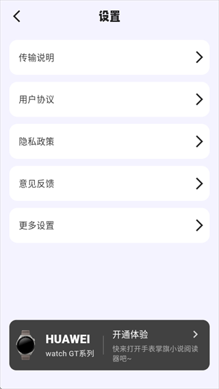 掌旗小说