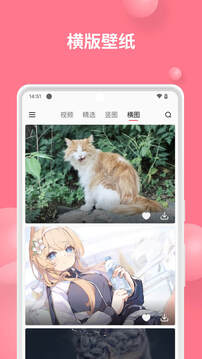 汽水壁纸官方版截图4