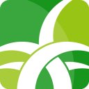 野草助手最新版本